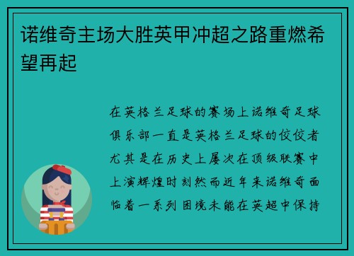 诺维奇主场大胜英甲冲超之路重燃希望再起